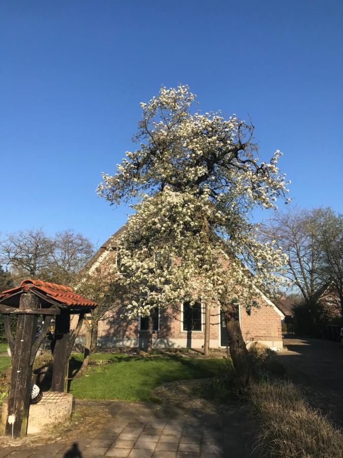 Appartement in de wolken in Gees Buitenkant foto